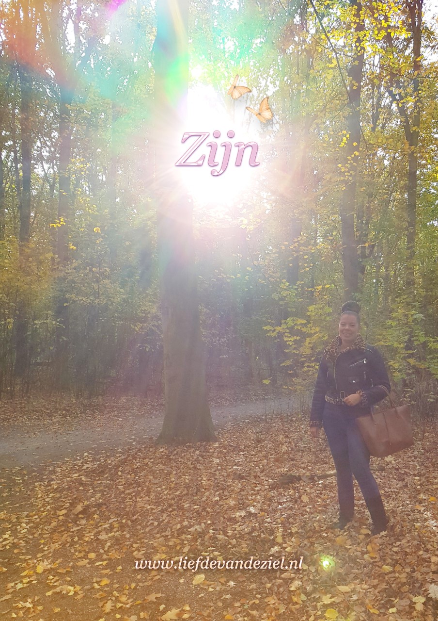 insulated water bottle