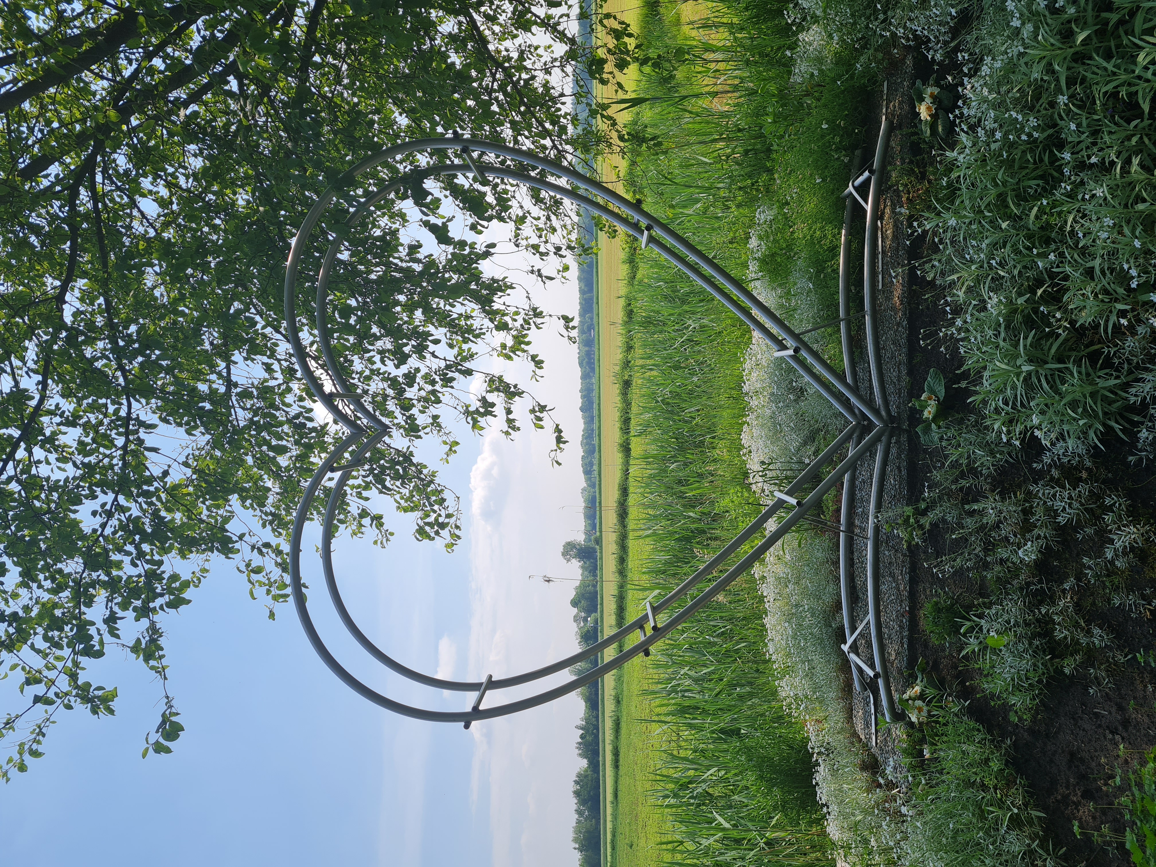 Birthday-reading image